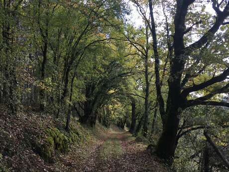 Boucle du Coustal à St Julien de Lampon