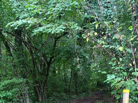 Boucle Saint-Maymoise