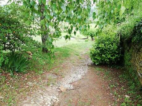 Boucle de la Forêt - Salignac